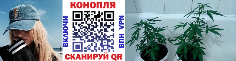 Все наркотики Темников Героин  Alpha-PVP  ГАШ  МЕФ  Каннабис 