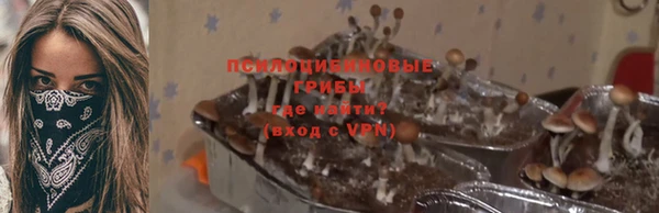 круглые Абаза