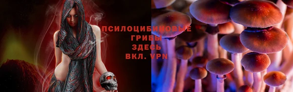 круглые Абаза