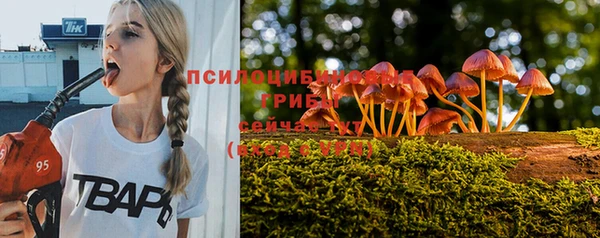 круглые Абаза