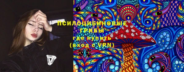 круглые Абаза